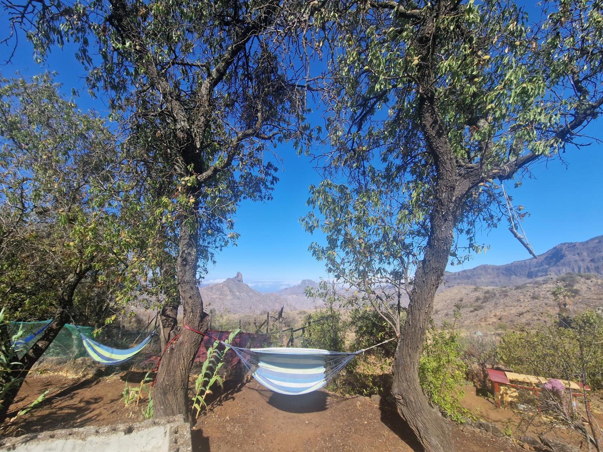 Finca La Isa Tejeda  Exterior foto